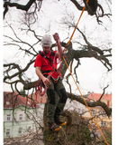 Arnes de arborismo Sherman Rock Empire